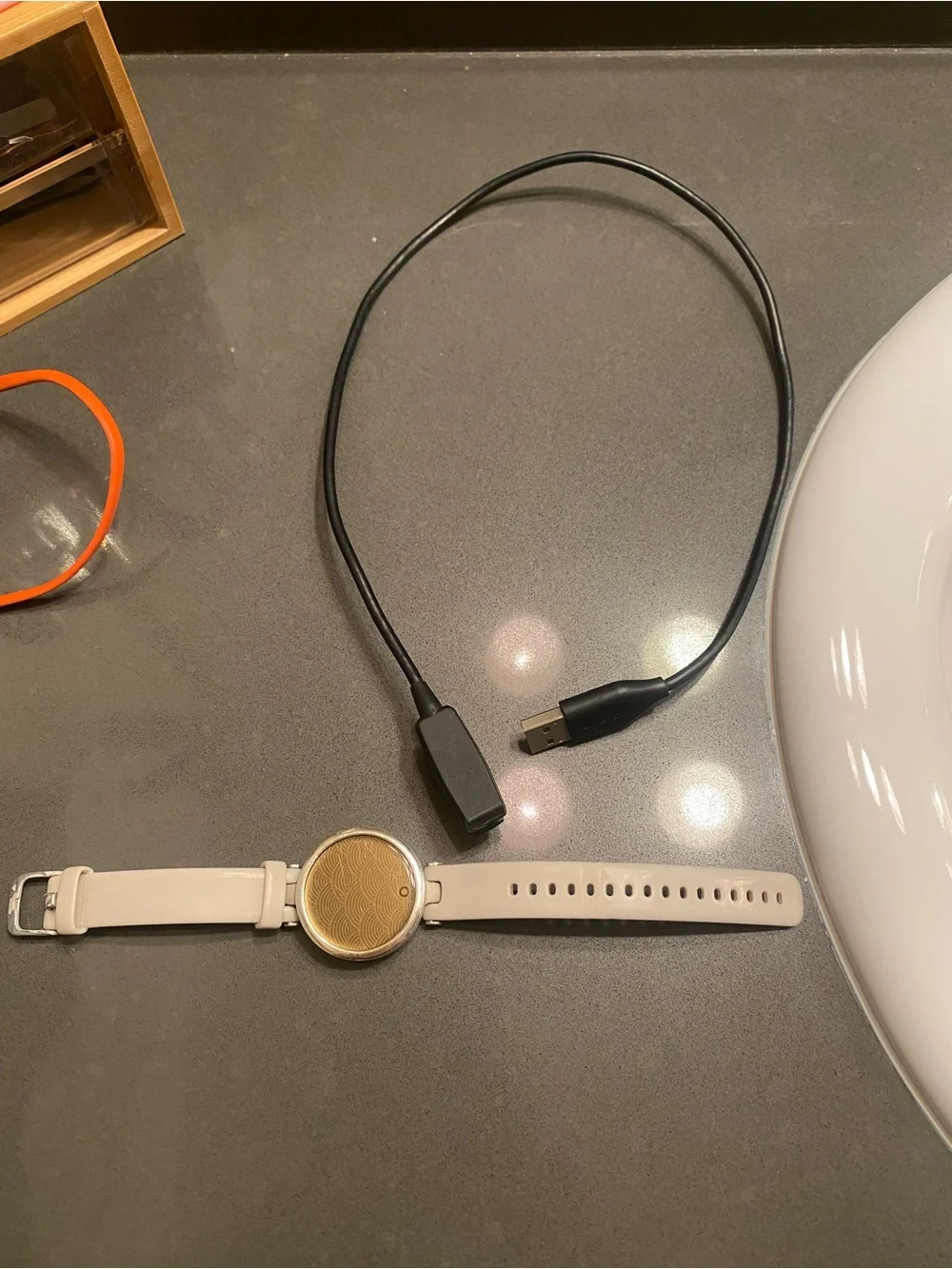 Garmin Lily Smartwatch